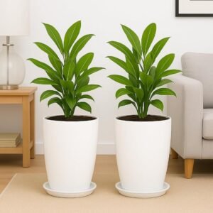 TrustBasket Blossom 12 Inch (Set of 2) Solid White Flower Pot| Lightweight & Durable for Indoor/Outdoor | for Big Size Plants/Flower | Flower Pot for Living Room | Big Planters for Home Decor & Garden