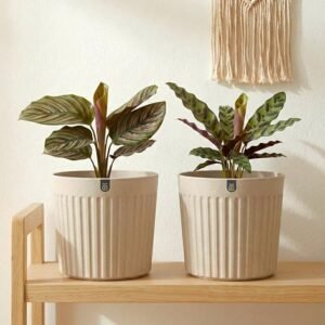 Eha Earth Friendly Romano 7.5 inch Planters for Home Decor | Set of 2 |Plant Pot Made with Bamboo Fibres | UV Protected Pots & Planters | Flower Pot for Living Room | Sand Castle