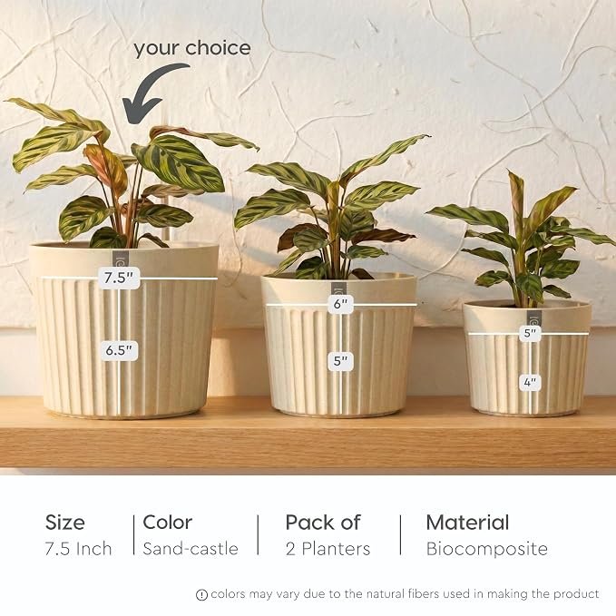 Eha Earth Friendly Romano 7.5 inch Planters for Home Decor | Set of 2 |Plant Pot Made with Bamboo Fibres | UV Protected Pots & Planters | Flower Pot for Living Room | Sand Castle - Image 2